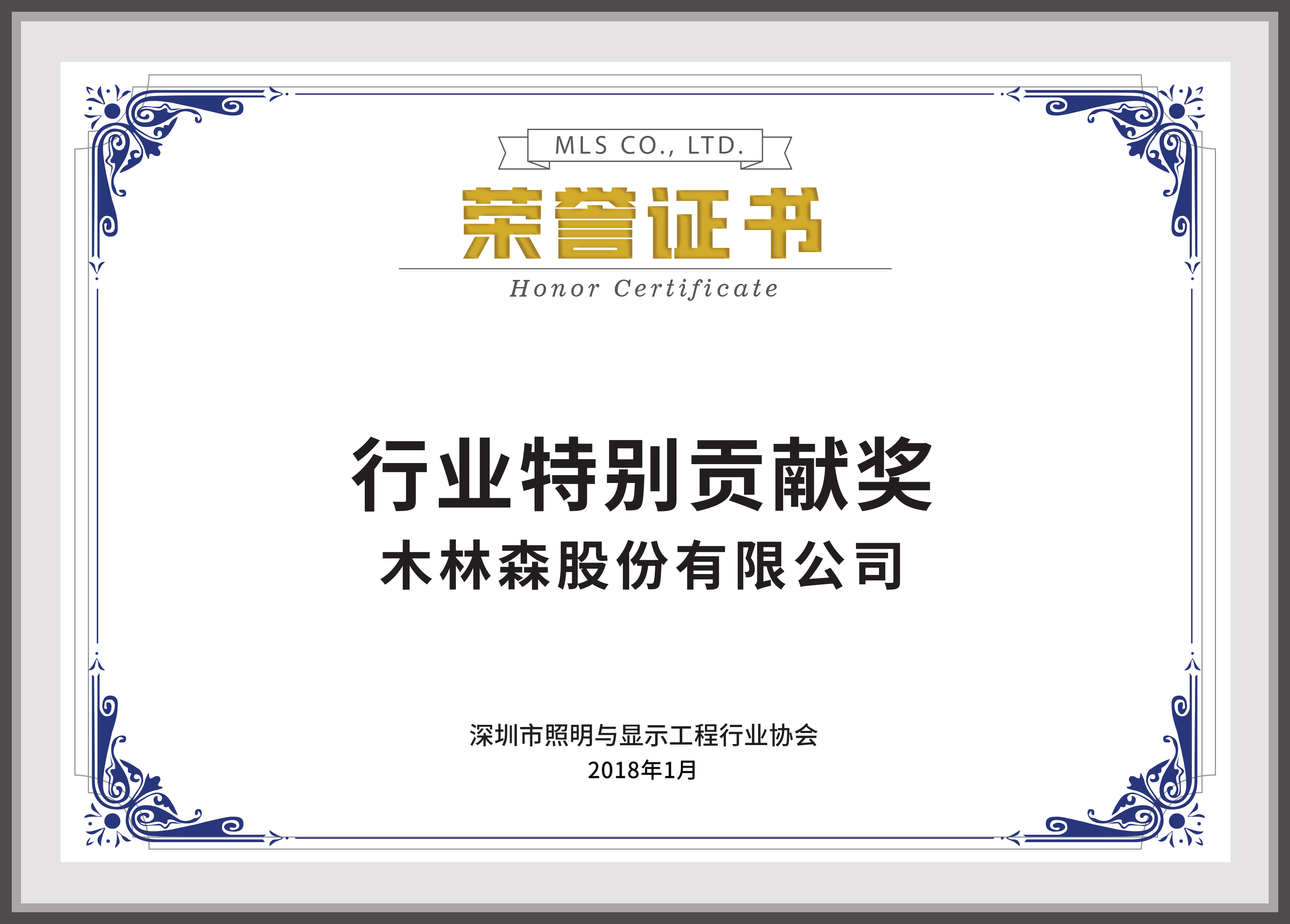 行业特别贡献奖