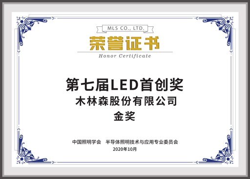 第七届LED首创奖金奖